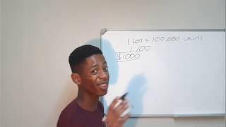 Understanding Forex Leverage  What does Leverage do to your Account [upl. by Akessej]