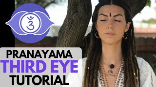 Pranayama for Third Eye Awakening amp Yogic Powers Trinetra Kumbhaka [upl. by Liarret]