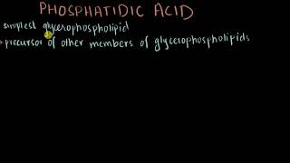 Phosphatidic acid  Structure amp Biosynthesis [upl. by Bamberger]