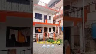 Fresh Snowfall in solan Himachal Pradesh 🌨️🌨️🌨️rachnasisodiyavlog solan snowfall 2024 [upl. by Nicholl]