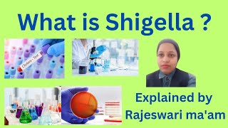 what is Shigella [upl. by Lawson249]