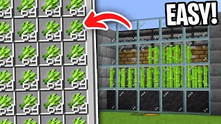 Sugarcane Farm Minecraft 121 JAVA amp BEDROCK [upl. by Windzer]