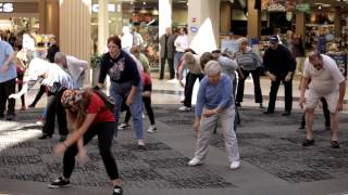 Hanover Township Senior Services Flash Mob [upl. by Thinia]