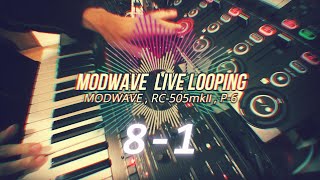 modwave live looping 8ver1  RC505mk2  p6 [upl. by Eleph]