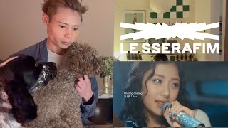 LE SSERAFIM 르세라핌 Star Signs lyric video reaction ⭐️🔯 [upl. by Saied]