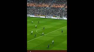 Tottenham Hotspur vs Qarabag 30 • Europa League Highlights amp All Goals 2024 shorts [upl. by Braynard400]