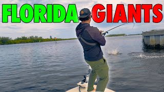 48 Hours Chasing Florida’s Saltwater Giants [upl. by Geralda]