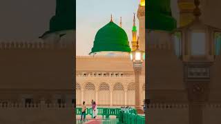 Hum Ko Bulana Ya Rasool Allah islamicvideomuhammadﷺkabanaatviewsviralmuslimnames [upl. by Hooper932]