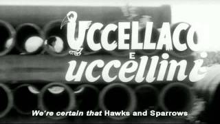 Pasolini Uccellacci e Uccellini tralier w English subtitles [upl. by Einreb234]