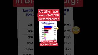 AfD 29❗aber warum 26 SPD in Brandenburg🤔 [upl. by Eyahsal510]