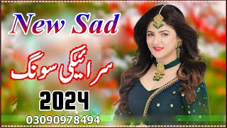 New Saraiki Song 2024  Saraiki All Singer Songs 2024 [upl. by Argyres]