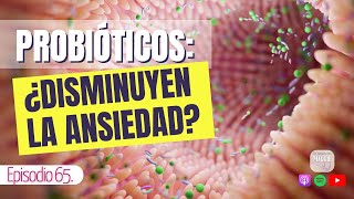 🎧 Probióticos cómo ayudan en tu salud mental con el Dr Viveros  BiosaMarket [upl. by Malinowski680]