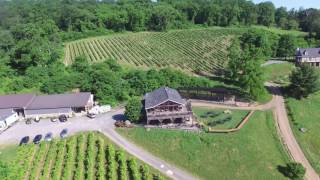 Loudoun County Winery Bluemont Vineyard Drone Video [upl. by Sifan587]