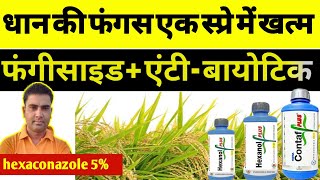 धान की फंगस एक स्प्रे में खत्म करें । hexaconazole 5 EC । Validamycin 3 । fungicide  Antibiotic 3 [upl. by Ahselet]