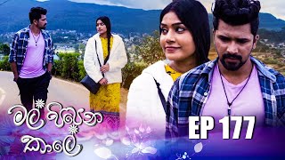 Mal Pipena Kaale  Episode 177 08th June 2022 [upl. by Salena]