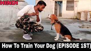 Beagle Dog Training Series  Episode 1st  All Dog Training Basics Tips amp Tricks [upl. by Firman]