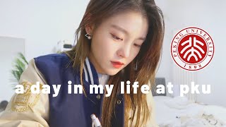 Day in the Life of a University Student  Exam Week  Peking University  Beijing Vlog [upl. by Selda878]