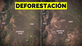 Deforestación en el Gran Chaco argentino [upl. by Zeuqcaj990]