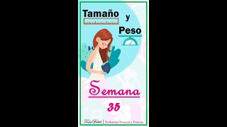 👉 Semana 35 de Embarazo 📏 Tamaño y Peso de tu Bebé [upl. by Sussi]