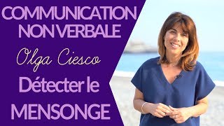 Détectez le mensonge sans vous faire rejeter I Communication non verbale [upl. by Kir]