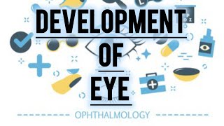 EMBRYOLOGICAL DEVELOPMENT OF THE EYE [upl. by Ecnerwal]