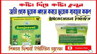 ট্রাইকোডারমা ভিরিডি কি।। what is the trikoderma [upl. by Yanel158]