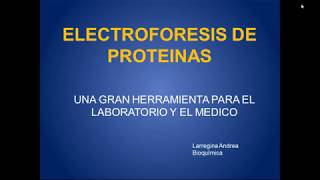 Jornada de Proteínas Electroforesis Capilar [upl. by Doownel]