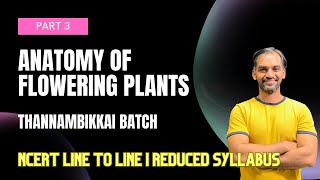 Anatomy of Flowering Plants  Part 3  TB 2024  NEET Reduced Syllabus [upl. by Otrebcire]