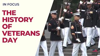 The Evolution of Veterans Day From Armistice Day to National Honor [upl. by Gnet]