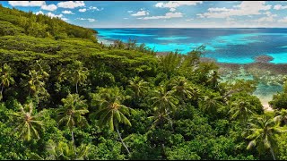 INCREDIBLE FRENCH POLYNESIA Mangareva amp Taravai Gambier Islands Amazing Planet 4K 2023 [upl. by Varian543]