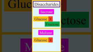 Monomer units of disaccharides sucrose lactose maltose and cellobiose chemistry [upl. by Sinai]