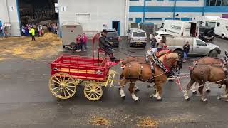 Team of 4 Heavy horse turnouts Royal Highland Show 2024 [upl. by Hadeehuat]