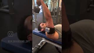 SmartCuffs 40 Tricep Exercise The Secret Weapon to Bigger Arms shorts bfrtraining [upl. by Paulie512]