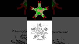 quotUnveiling the Intricate Dance of Radial Engines  Animation Explainedquot [upl. by Lezned]