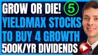 Grow Or Die 5 Yieldmax Stocks To Buy For REAL Growth Potential High Yield Dividends Invest FIRE [upl. by Anahpets426]