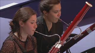 Beethoven Symphony No 4 bassoon Solo [upl. by Fotinas]