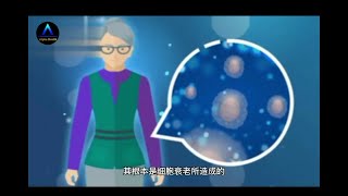 干细胞抗衰老的底层科学原理  The mechanism of stem cells antiaging [upl. by Niltiac694]