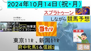 2409☆東京11的中！スプラトゥーンしながら競馬予想☆10月14日祝・月【ひろ太郎】 [upl. by Myrt]