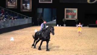 Pferd amp Jagd 2010 BarockShowCup KarlHeinz Grundler [upl. by Erdnaid278]