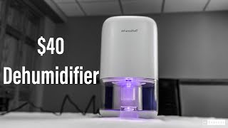 Portable Dehumidifier Review [upl. by Warchaw]