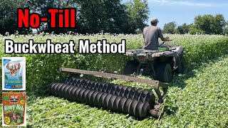 NoTill Brassica Food Plot into Buckwheat Method [upl. by Yensehc]