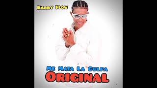 Espeluque Me Mata La Culpa Karry Flow Original Champetas Nuevas 2024 [upl. by Hawthorn]