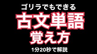 古文単語が覚えられない人へ【勉強法】 [upl. by Bram138]