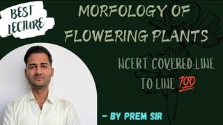 modifications of roots  Morphology of flowering plants  Class 11th  Prem Sir Biology [upl. by Petra]