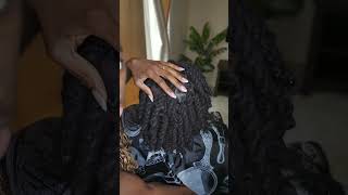 Two strand twists for locs braids twostrandtwists 🥰 [upl. by Majka861]