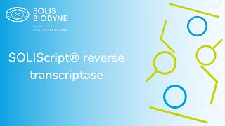 SOLIScript® reverse transcriptase [upl. by Imef]