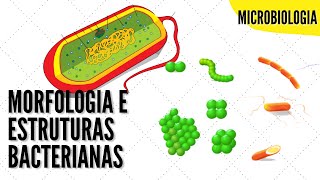 Estruturas e Formas das Células Bacterianas  ANIMAÇÃO [upl. by Ztnaj]