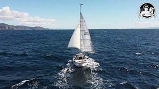 Episode 8 SOLO SAILING New Zealand Whitianga  Port Jackson  Waiheke Island  Coromandel [upl. by Rosdniw]