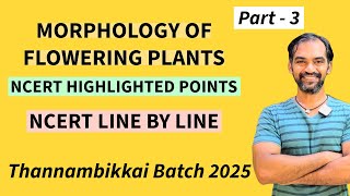 Morphology of Flowering Plants in Tamil  Part 3  TB 2025 [upl. by Gudrun667]