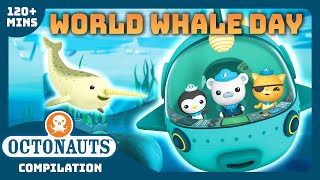 Octonauts  🤿 Riding with Whales 🐋  2 Hours Compilation  Underwater Sea Education for Kids [upl. by Alitha]